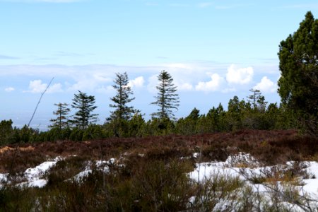 View from trail from Ochsenstall Hornisgrinde to Hundsrücken 2020-03-14 23