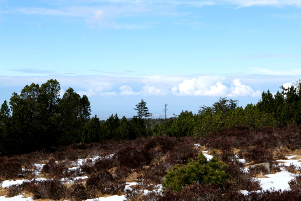 View from trail from Ochsenstall Hornisgrinde to Hundsrücken 2020-03-14 39