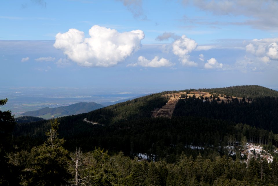 View from trail from Ochsenstall Hornisgrinde to Kleine Grinde 2020-03-14 18