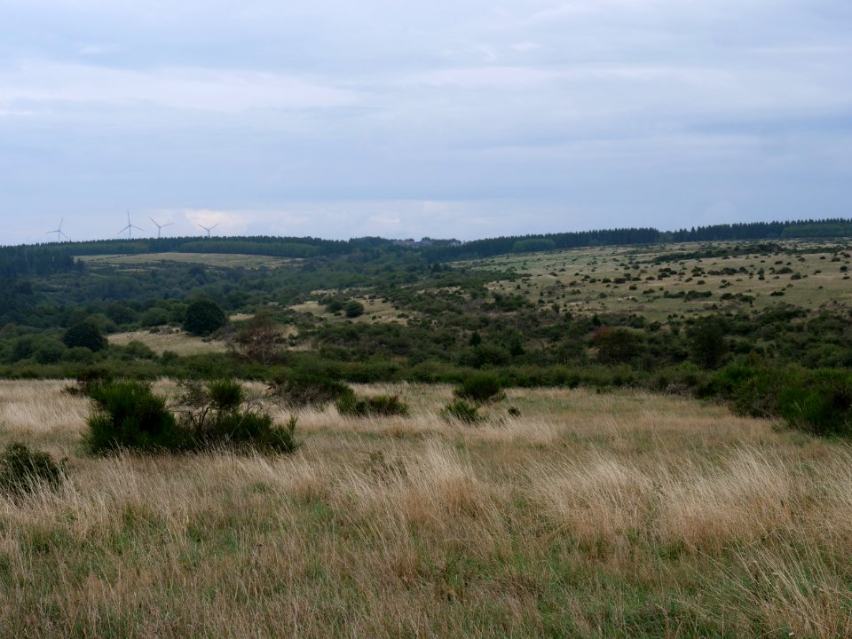 View from trail from Gierberg to Müsauelsberg in September 2019 40