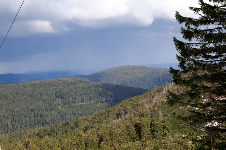 View from trail from Ochsenstall Hornisgrinde to Kleine Grinde 2020-03-14 15
