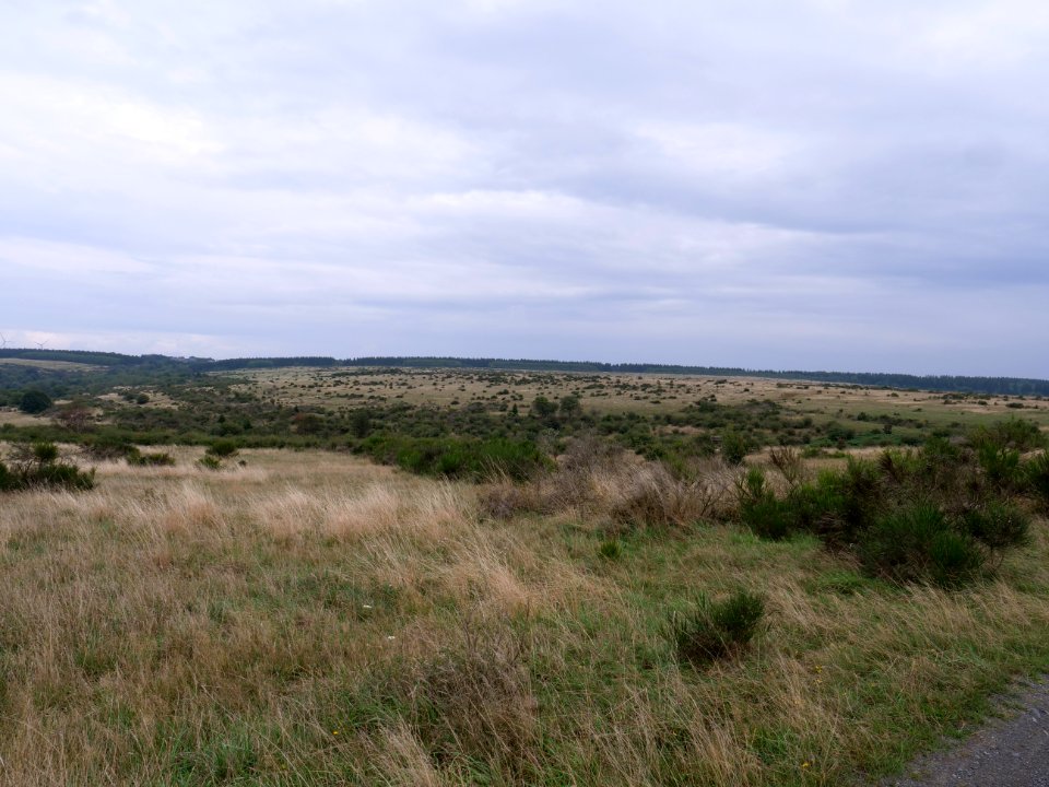 View from trail from Gierberg to Müsauelsberg in September 2019 43