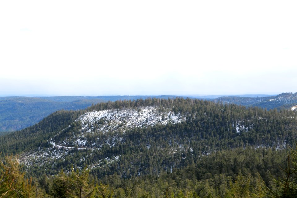 View from trail from Ochsenstall Hornisgrinde to Kleine Grinde 2020-03-14 25