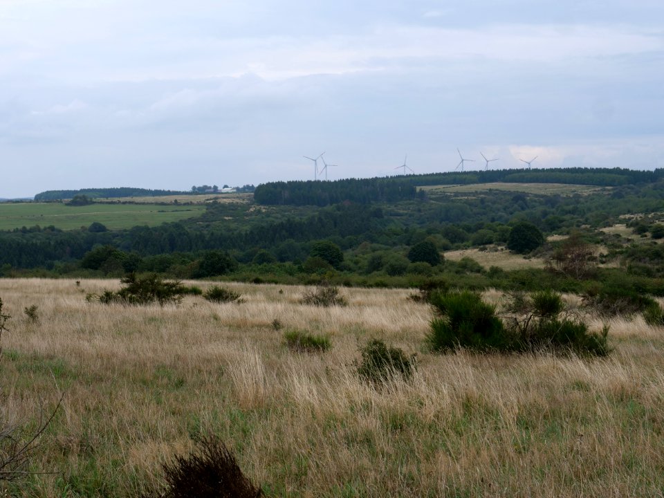 View from trail from Gierberg to Müsauelsberg in September 2019 41