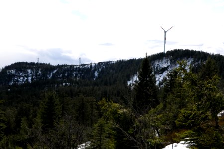 View from trail from Ochsenstall Hornisgrinde to Kleine Grinde 2020-03-14 07