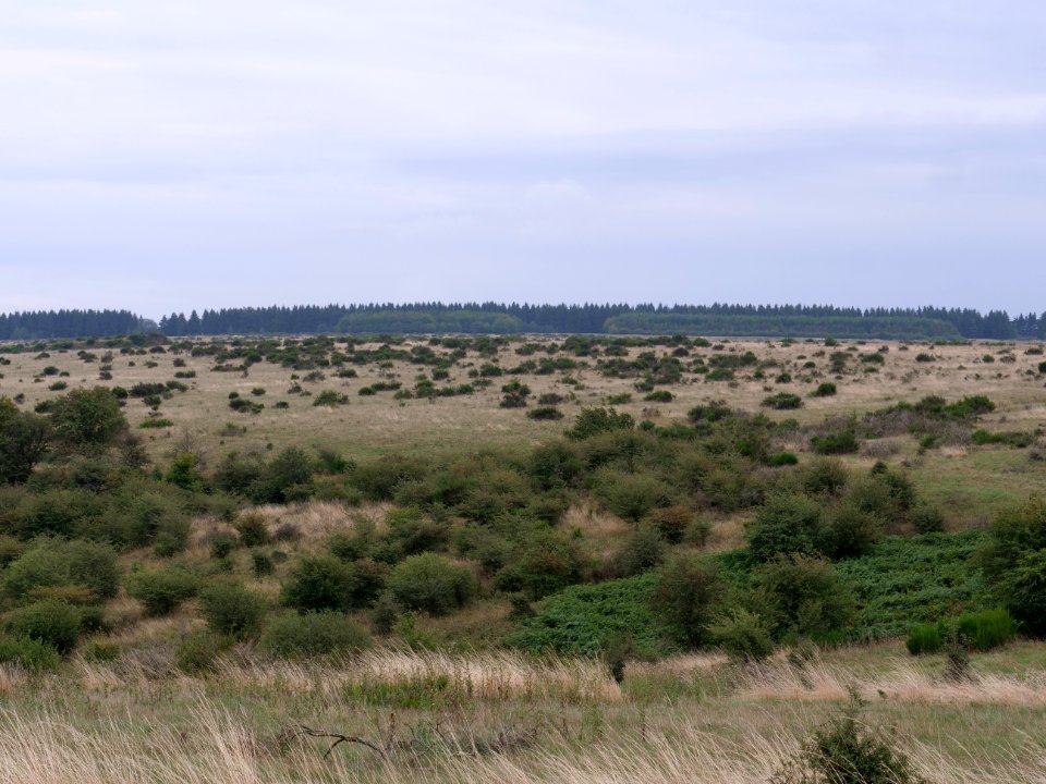 View from trail from Gierberg to Müsauelsberg in September 2019 46
