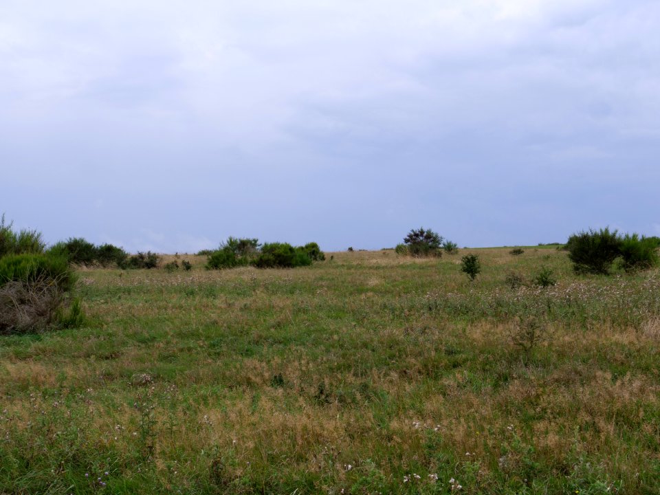 View from trail from Gierberg to Müsauelsberg in September 2019 36