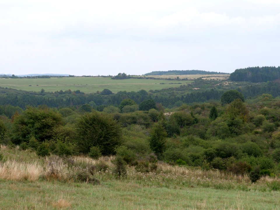View from trail from Gierberg to Müsauelsberg in September 2019 49