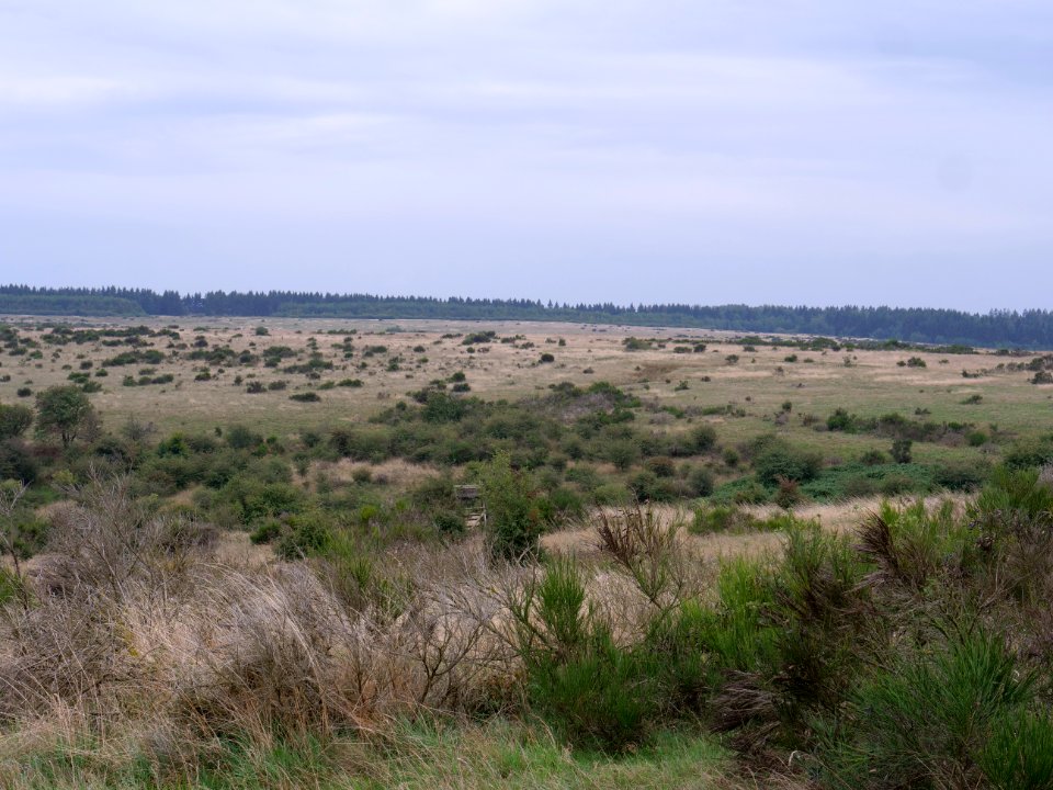 View from trail from Gierberg to Müsauelsberg in September 2019 44