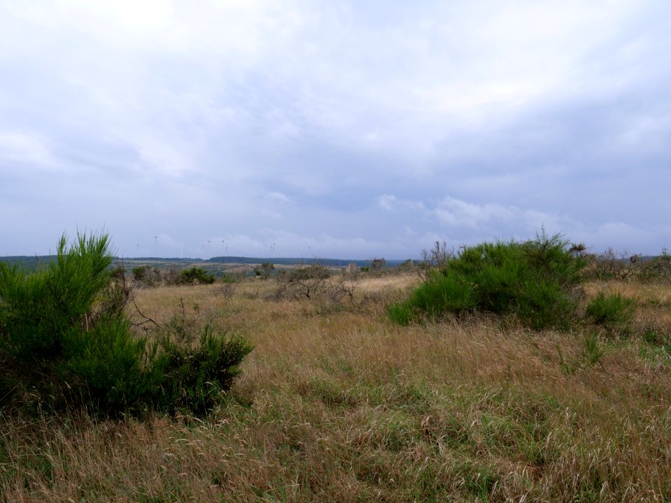 View from trail from Gierberg to Müsauelsberg in September 2019 64