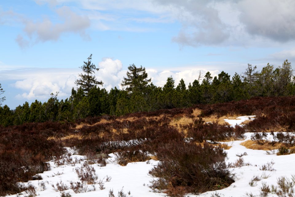 View from trail from Ochsenstall Hornisgrinde to Hundsrücken 2020-03-14 24