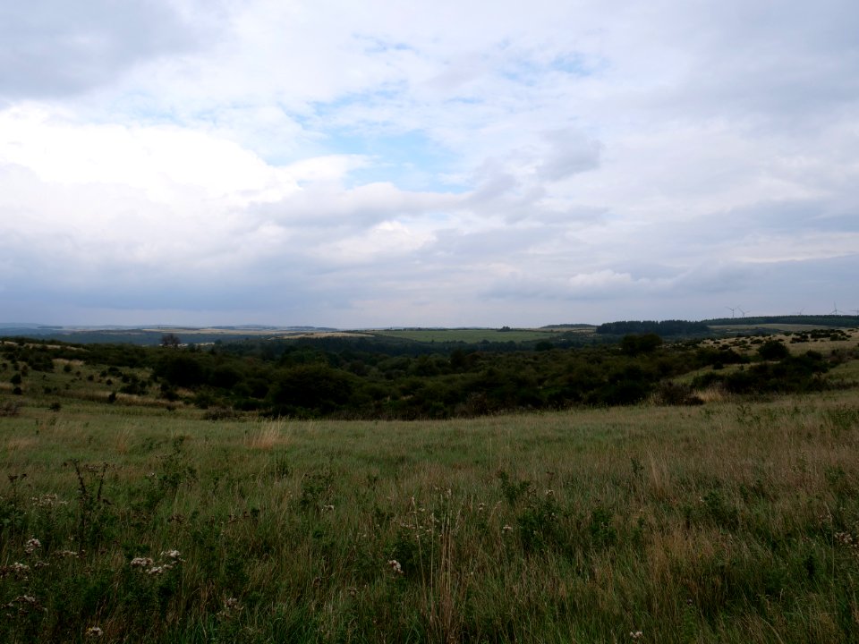 View from trail from Gierberg to Müsauelsberg in September 2019 53