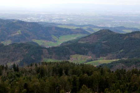 View from trail from Hornisgrinde to Mummelsee 2020-03-14 06