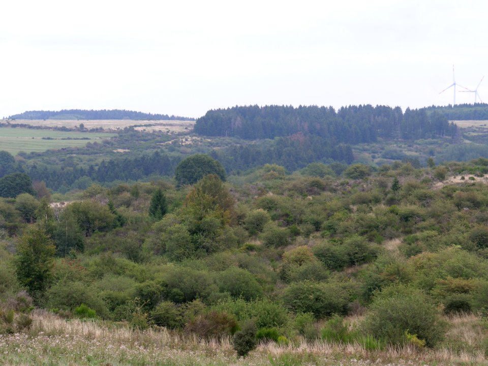 View from trail from Gierberg to Müsauelsberg in September 2019 50