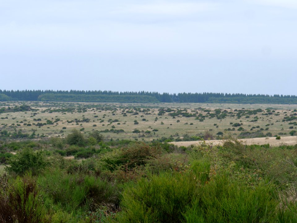 View from trail from Gierberg to Müsauelsberg in September 2019 35