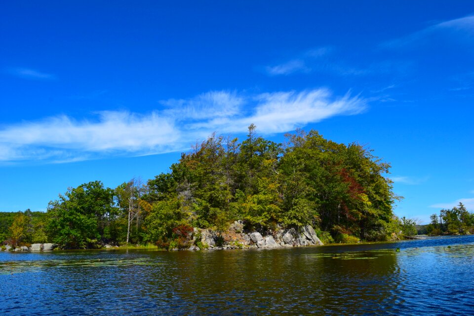 Landscape trees sky