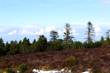 View from trail from Ochsenstall Hornisgrinde to Hundsrücken 2020-03-14 26