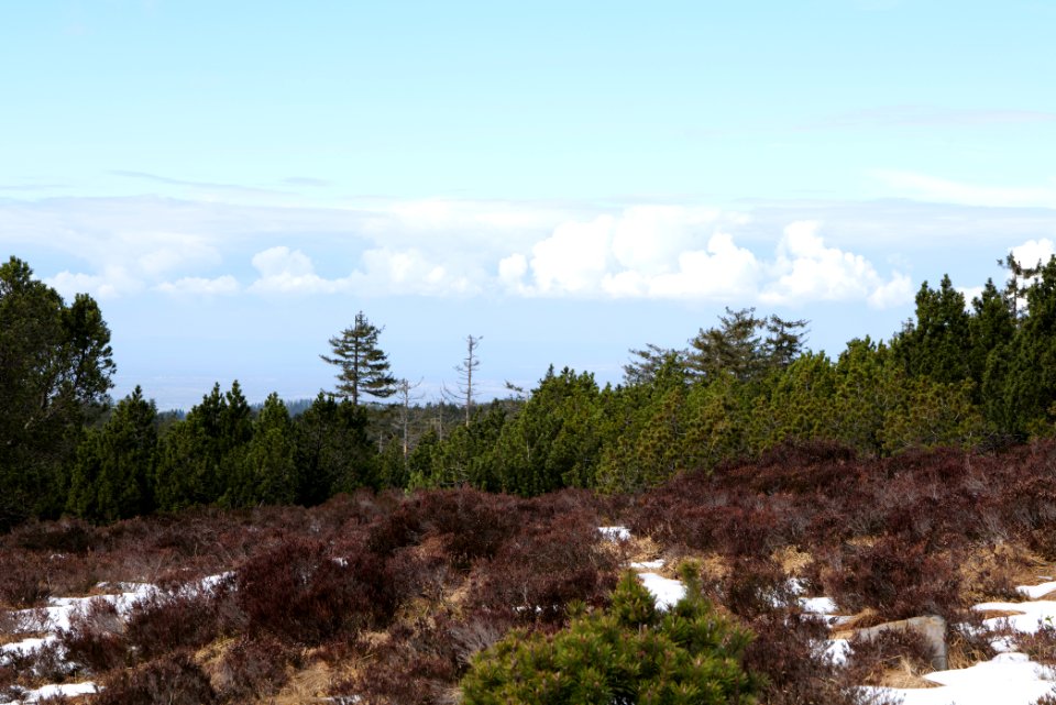 View from trail from Ochsenstall Hornisgrinde to Hundsrücken 2020-03-14 37