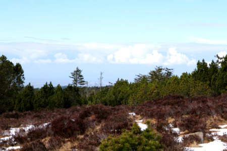 View from trail from Ochsenstall Hornisgrinde to Hundsrücken 2020-03-14 37