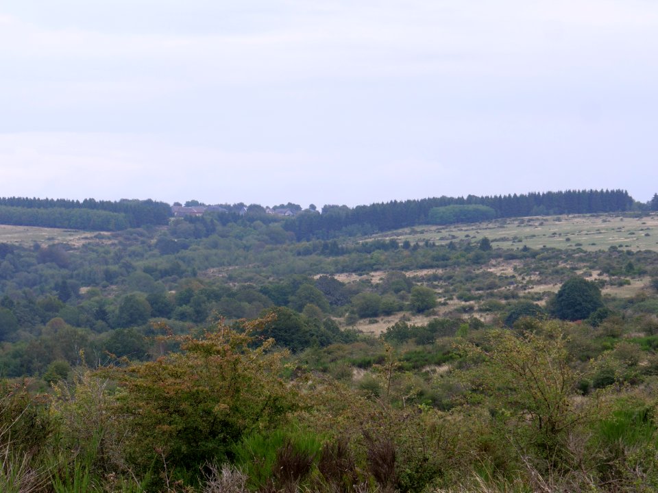View from trail from Gierberg to Müsauelsberg in September 2019 33