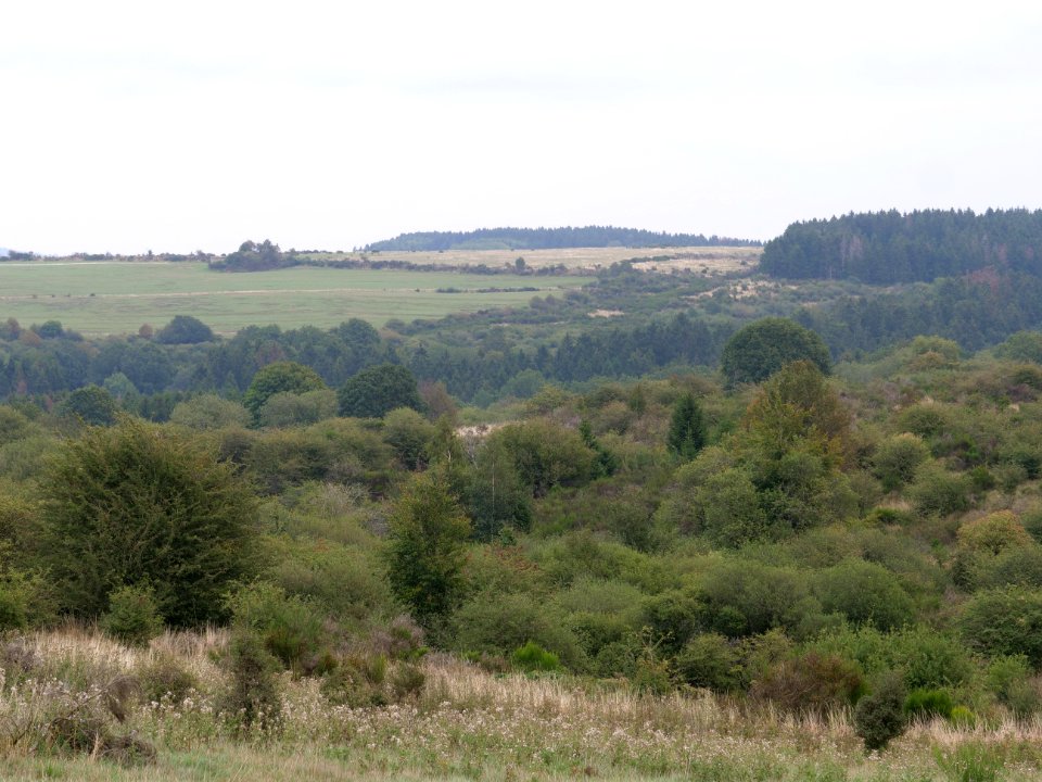 View from trail from Gierberg to Müsauelsberg in September 2019 48