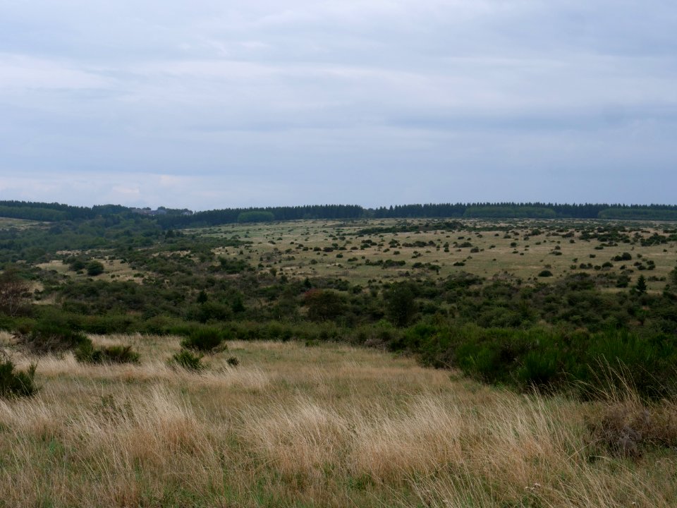 View from trail from Gierberg to Müsauelsberg in September 2019 42