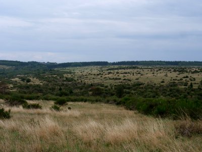 View from trail from Gierberg to Müsauelsberg in September 2019 42