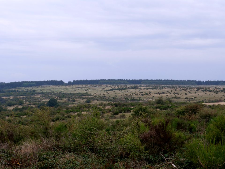 View from trail from Gierberg to Müsauelsberg in September 2019 34