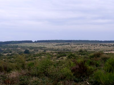 View from trail from Gierberg to Müsauelsberg in September 2019 34