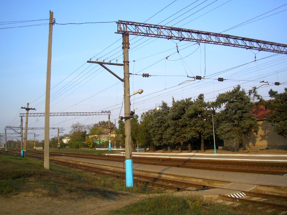 Vetvistoe 4