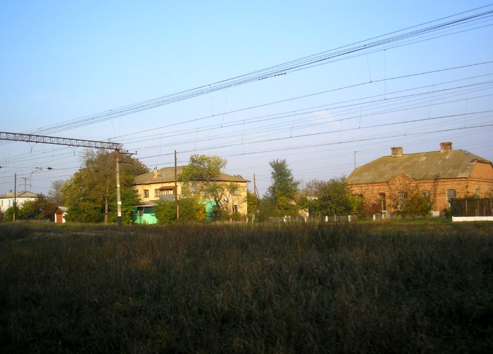 Vetvistoe 1