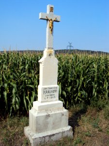 Veverská Bítýška 2015 - 10