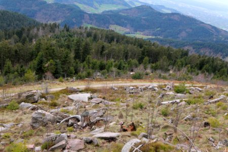 View from trail from Hornisgrinde to Mummelsee 2020-03-14 14