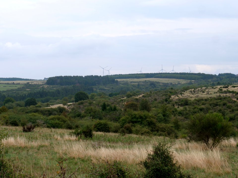 View from trail from Gierberg to Müsauelsberg in September 2019 45