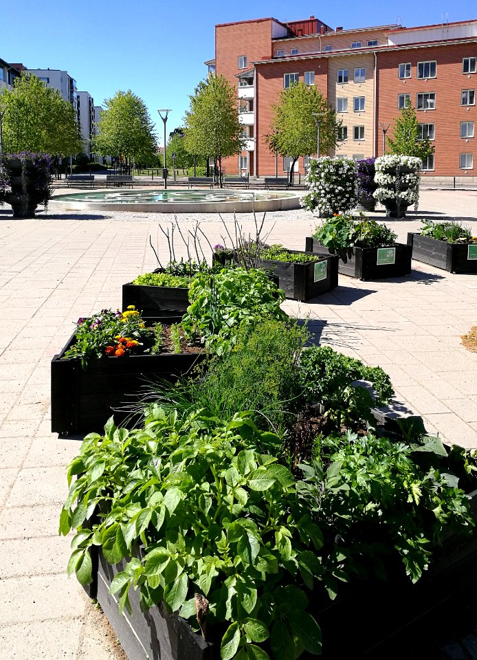 Veturiaukio Oulu 20170707 03