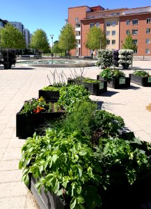 Veturiaukio Oulu 20170707 03