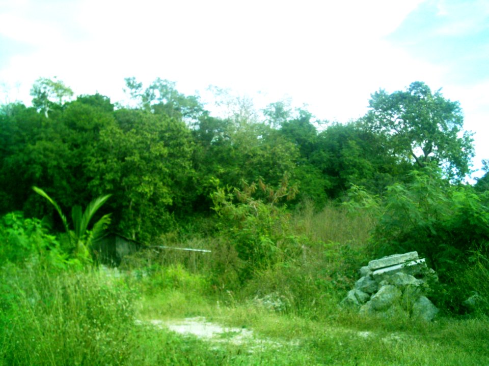 Vestigios mayas de la Colonia Francisco Villa Oriente, Kanasín, Yucatán (05)