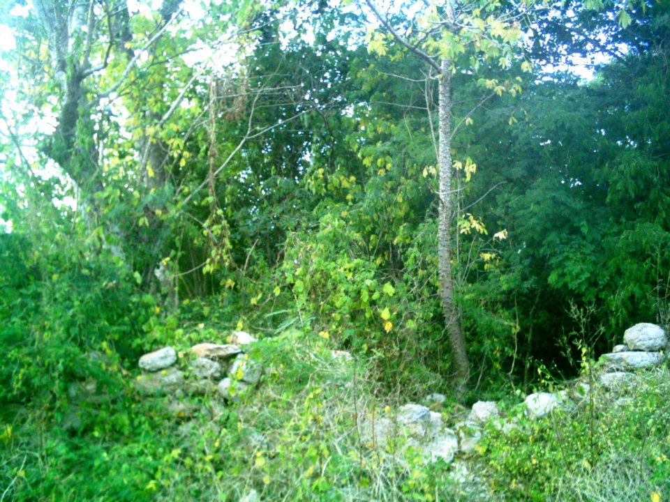 Vestigios mayas de la Colonia Francisco Villa Oriente, Kanasín, Yucatán (02)
