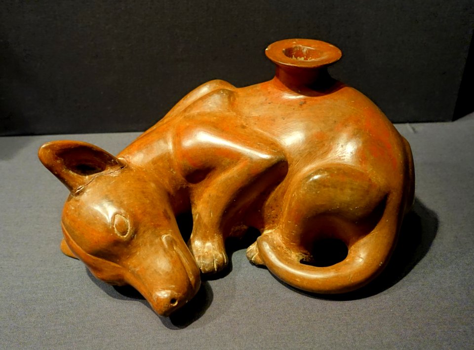Vessel in the form of a dog, Comala, Colima, Mexico, 200 BC to 200 AD, ceramic, red and brown slip - Princeton University Art Museum - DSC07135