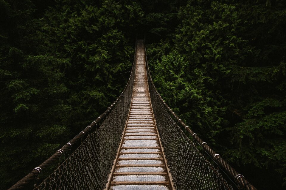 Nature forest travel