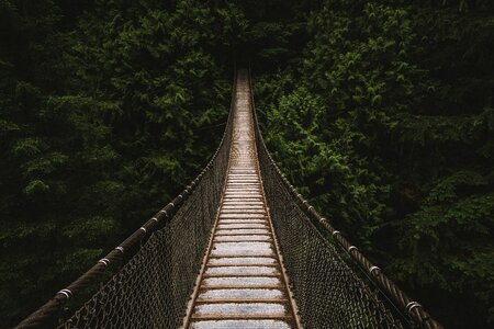 Nature forest travel