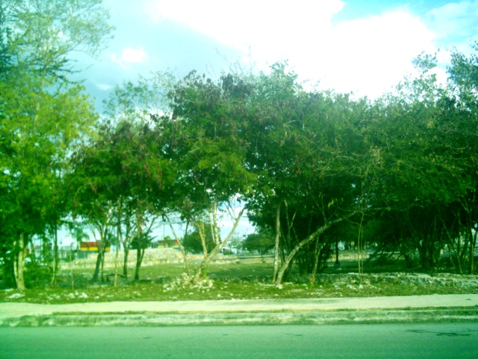 Vestigios mayas de San Antonio Hool (03)