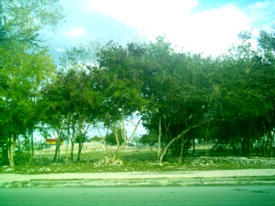 Vestigios mayas de San Antonio Hool (03)