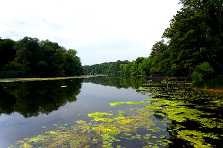 Water mirroring reflect photo