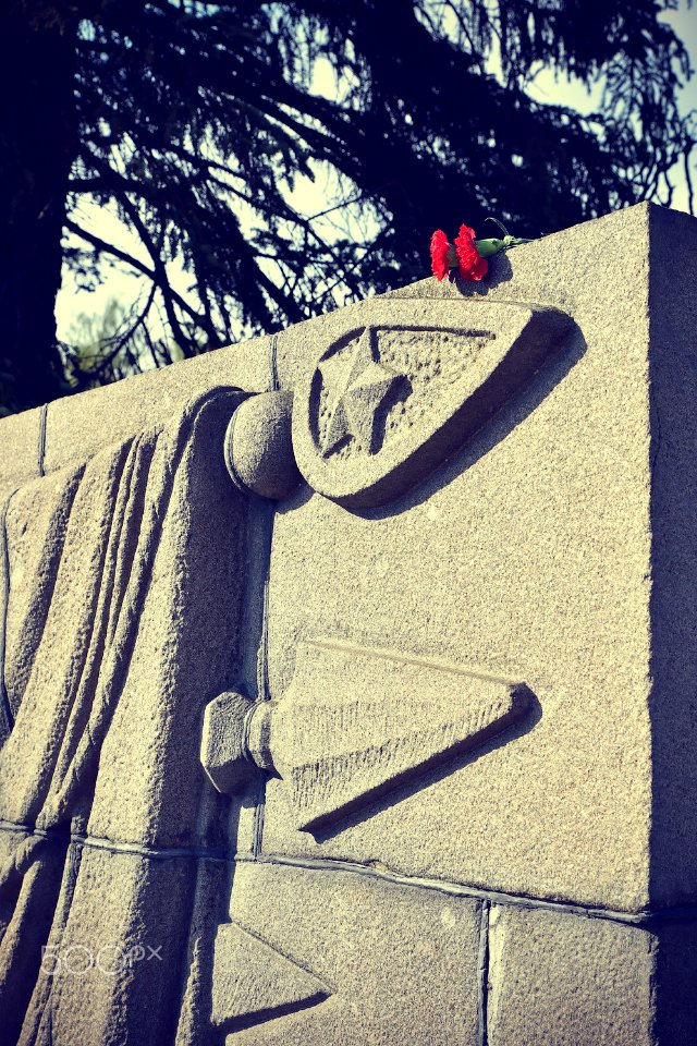 Victory Day (153579877)
