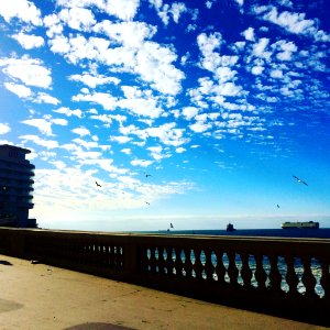 Viña Del Mar (194199187)