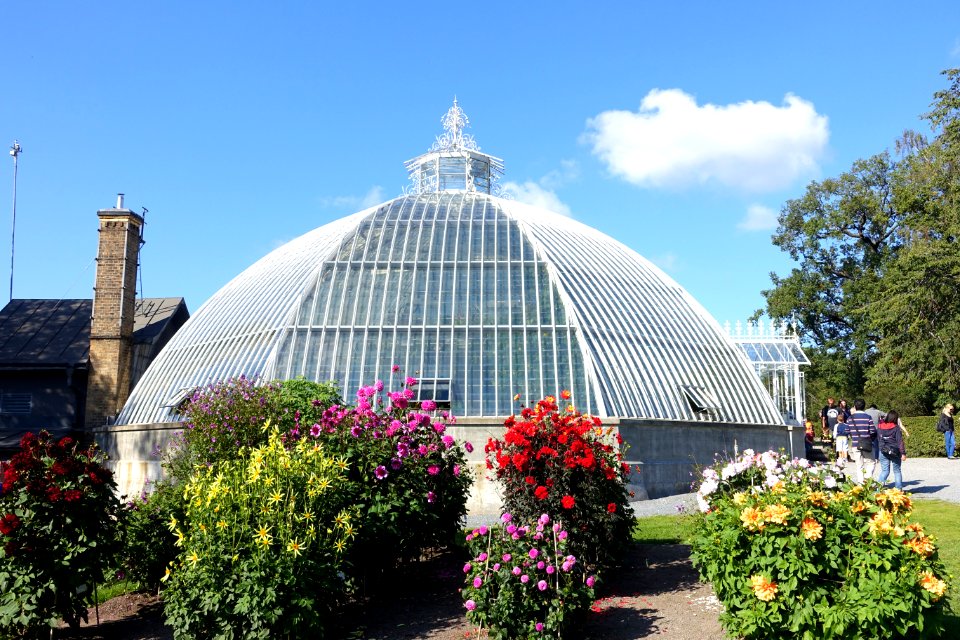Victoriahuset - Bergianska trädgården - Stockholm, Sweden - DSC00135