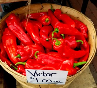 Victor peppers - Cambridge, MA - 20181007 112527 photo