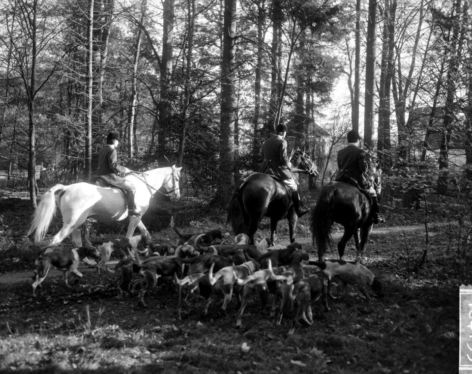 Vertrek van drie jagers te paard, omgeven door honden, Bestanddeelnr 918-4133