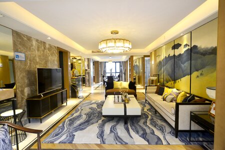Living room big luxurious